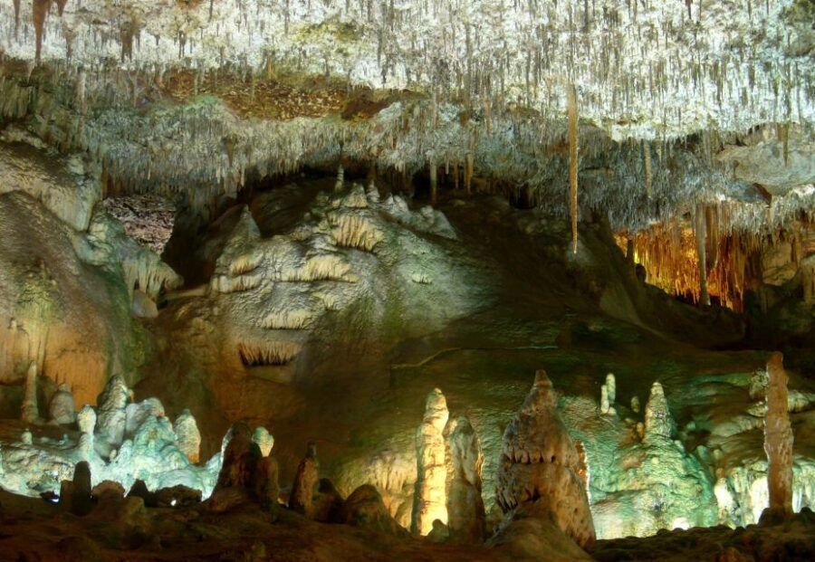 Mallorca: Caves of Hams and Dinosaurland Ticket with Pickup - What to bring: comfortable shoes, and plan for cave walking