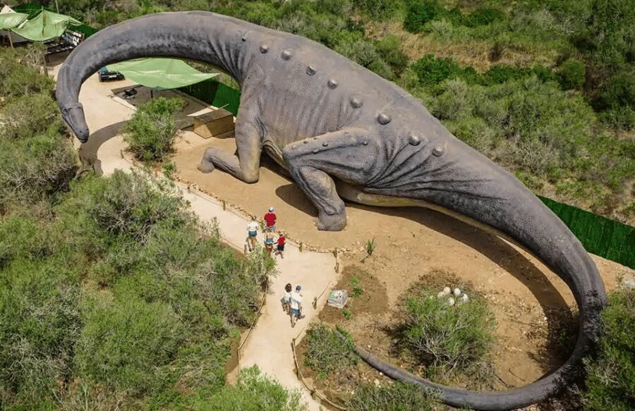 Mallorca: Caves of Hams and Dinosaurland Ticket with Pickup - Should you book Caves of Hams and Dinosaurland with pickup?