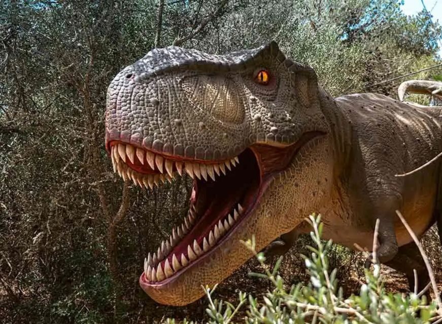 Mallorca: Caves of Hams and Dinosaurland Ticket with Pickup - Dinosaurland beside the caves: one hour to see dinosaur facts in park form