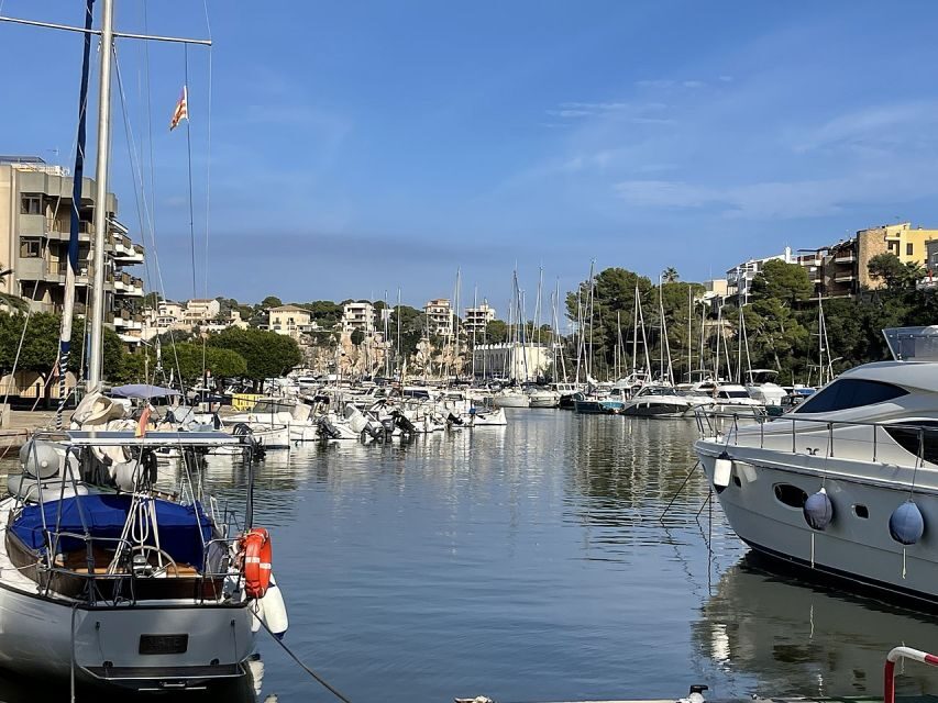 Mallorca: Caves of Hams Entry Ticket with Transportation - Should you book the Caves of Hams with transportation?