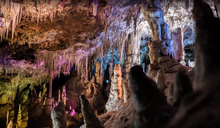 Mallorca: Day Trip to Caves of Hams & Optional Dinosaurland - Key things to know before you go