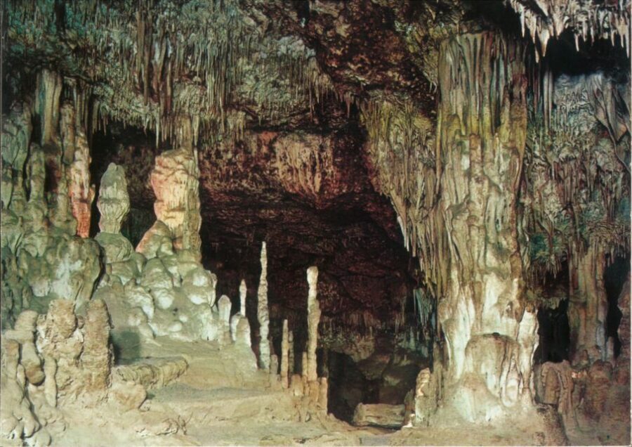 Mallorca: Day Trip to Caves of Hams & Optional Dinosaurland - The Extra Stops: Pearl Factory Visit and Why It Can Feel Long