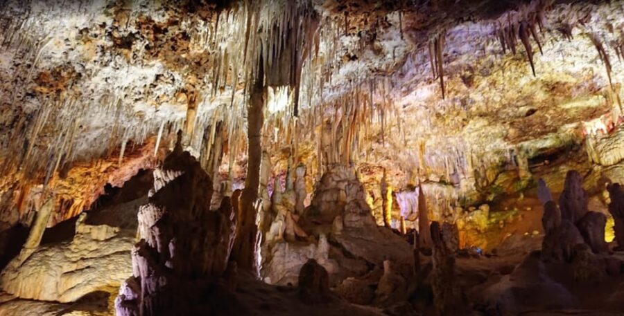 Mallorca: Day Trip to Caves of Hams & Optional Dinosaurland - Timing Reality Check: How to Plan for a 4–8 Hour Trip