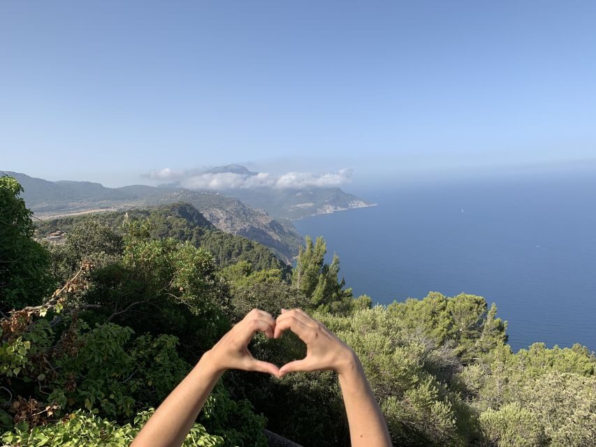 Mallorca: Day Trip to Hidden Gems of Tramuntana with Lunch - Lunch that’s classic Mallorca, not tourist cafeteria food