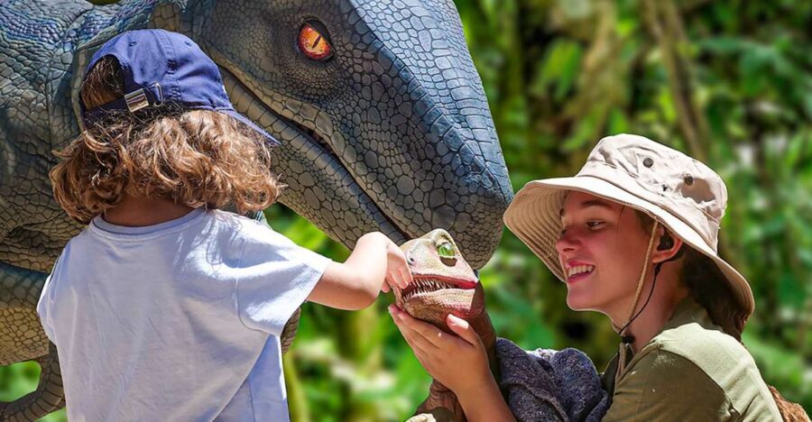 Mallorca: Dinosaurland and Caves of Hams Combined Ticket - Getting Oriented: Where This Combo Works Best