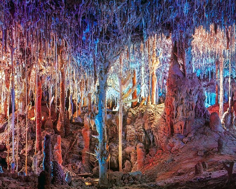 Mallorca: Dinosaurland and Caves of Hams Combined Ticket - Round Cave: Botanical Garden and Native Birds