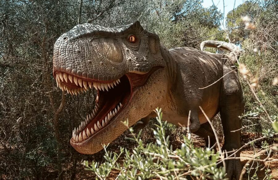 Mallorca: Dinosaurland Park, Hams Caves & Porto Cristo Tour - Key takeaways before you go