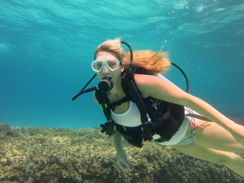 Mallorca: Discover Scuba Diving for Beginners - The underwater descent (up to 6 meters): what it feels like and what you should expect