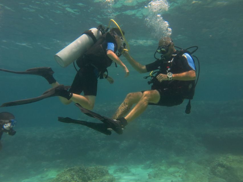 Mallorca: Discover Scuba Diving for Beginners - Who should book (and who should skip) this beginner scuba session