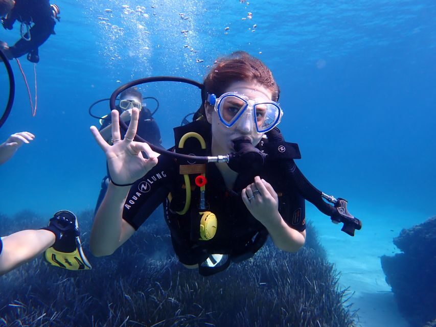 Mallorca: Discover Scuba Diving for Beginners - The 3.5-hour flow: what happens from the meeting point to the underwater session