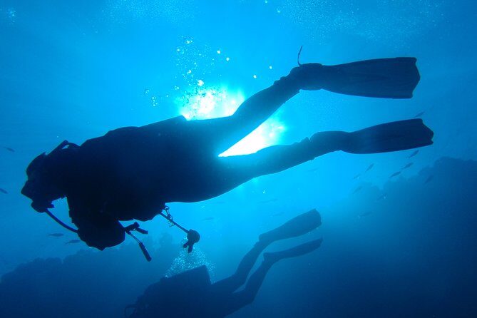 Mallorca: Discover Scuba Diving from the boat - Water session 1: shallow practice where you build confidence fast