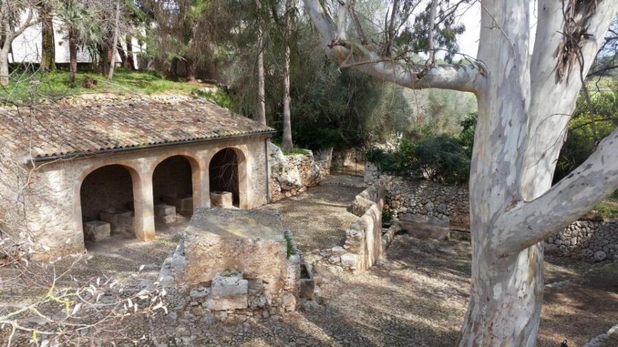 Mallorca: Discovering 5 Charming Villages of Mallorca - The 3 tastings: what the price really buys