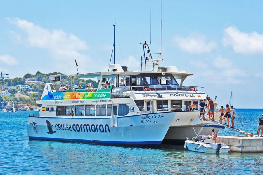Mallorca: Dolphin Watching Cruise - The 3-Hour Dolphin Search: Species to Look For