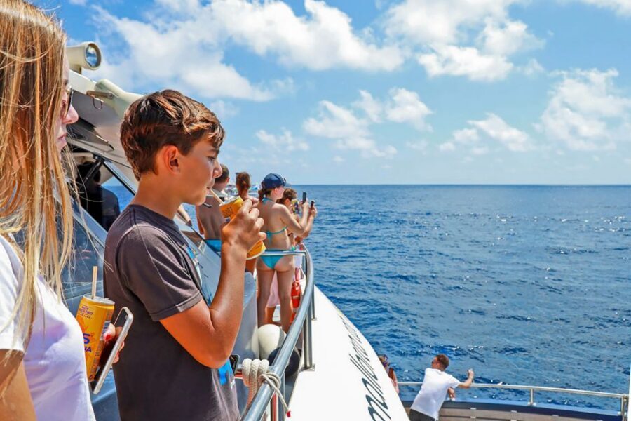Mallorca: Dolphin Watching Cruise - The Swim Stop With Snorkel Gear: The Moment You Feel You Got Your Money’s Worth