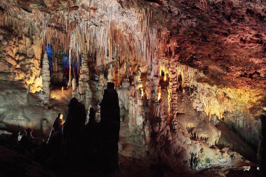 Mallorca: Drach and Hams Caves, and Porto Cristo Day Tour - Key Things I’d Plan For