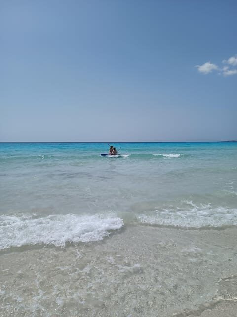 Mallorca Experinence: Es Trenc con Paddlesurf y Snorkel - Picnic strategy: buy it right, keep it chilled