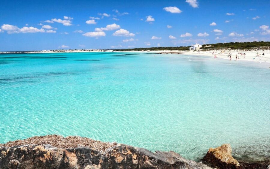 Mallorca Experinence: Es Trenc con Paddlesurf y Snorkel - Van pickup: less searching, more beach time