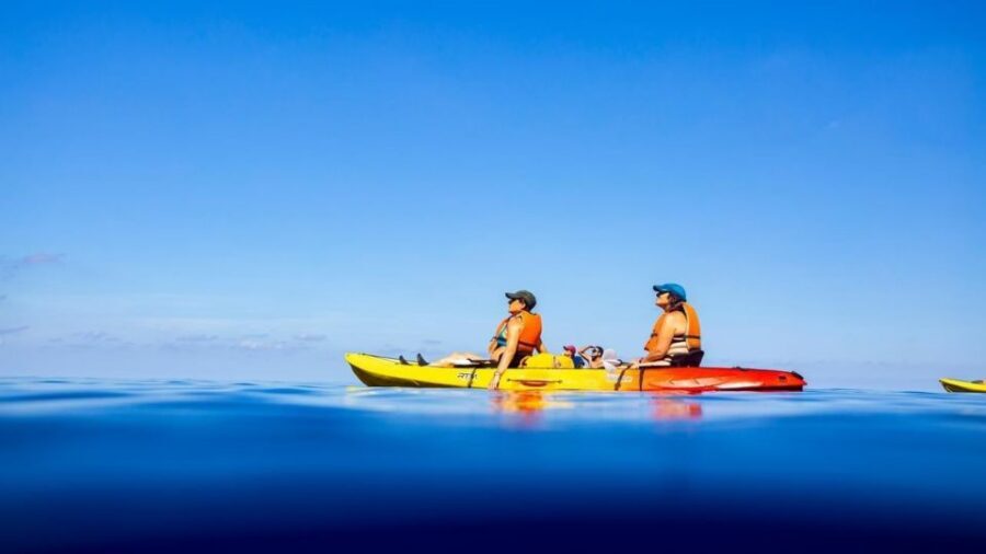 Mallorca: Explore the Island Dragonera with the kayak - Weather and route changes: staying flexible makes the day better