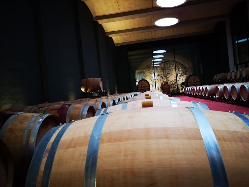 Mallorca: Full-Day Winery Small Group Tour - Key Things That Make This Tour Worth Your Day