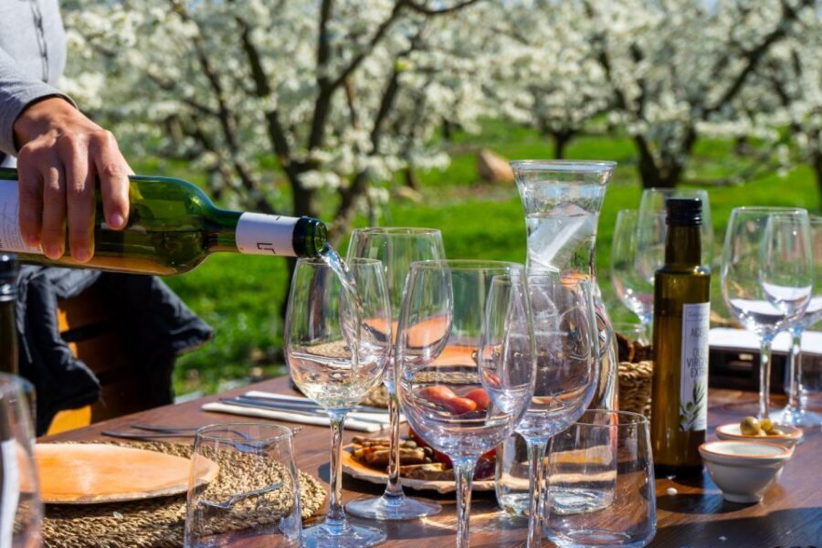 Mallorca: Full-Day Winery Small Group Tour - Why This Mallorca Wine Tour Works in One Long Day