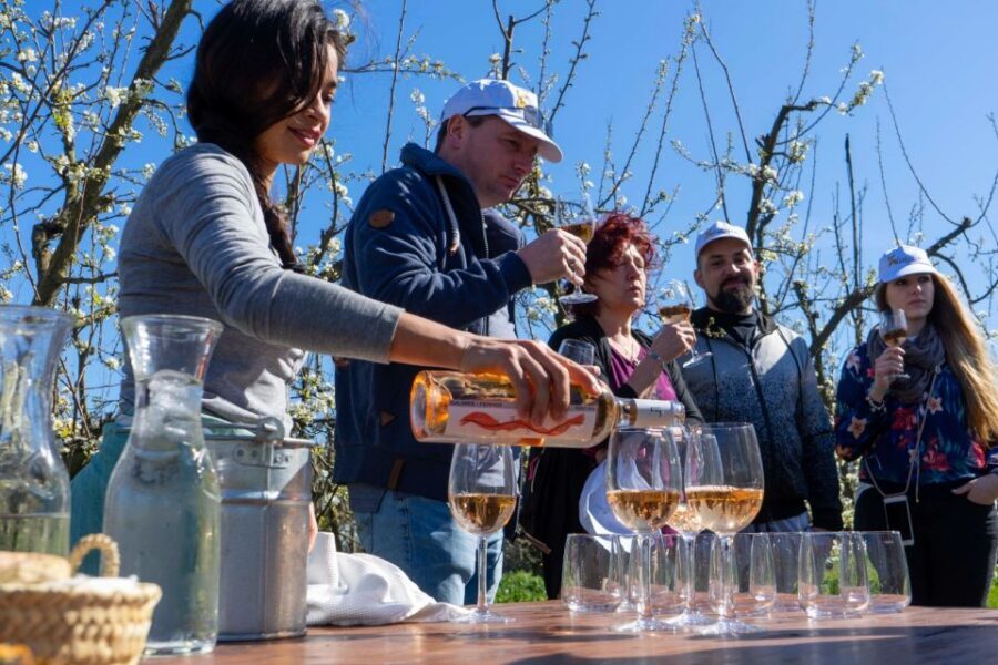 Mallorca: Full-Day Winery Small Group Tour - Tips to Make Your Day Better (Not Just Tastier)