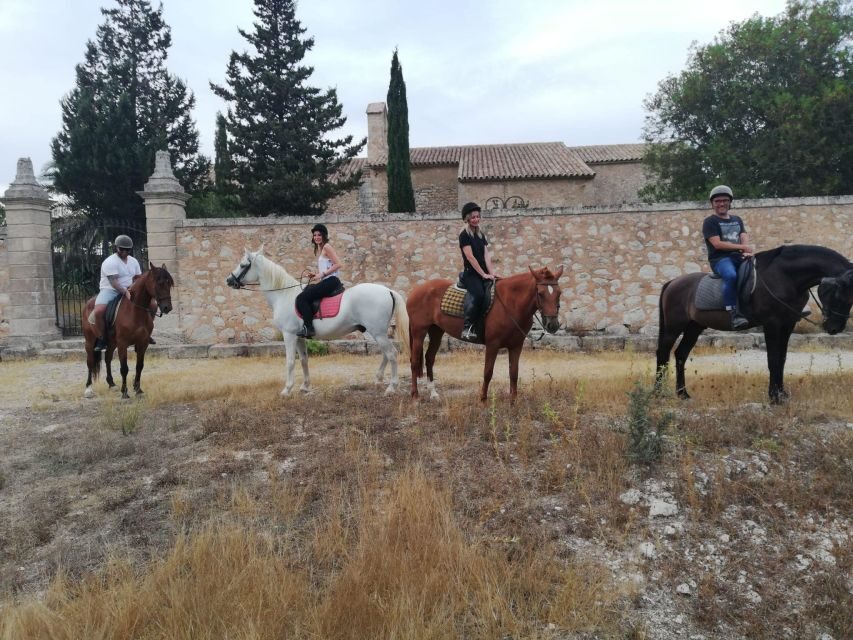 Mallorca: Guided Horseriding Tour of Randa Valley - Key things that make this Mallorca horse tour worth your time