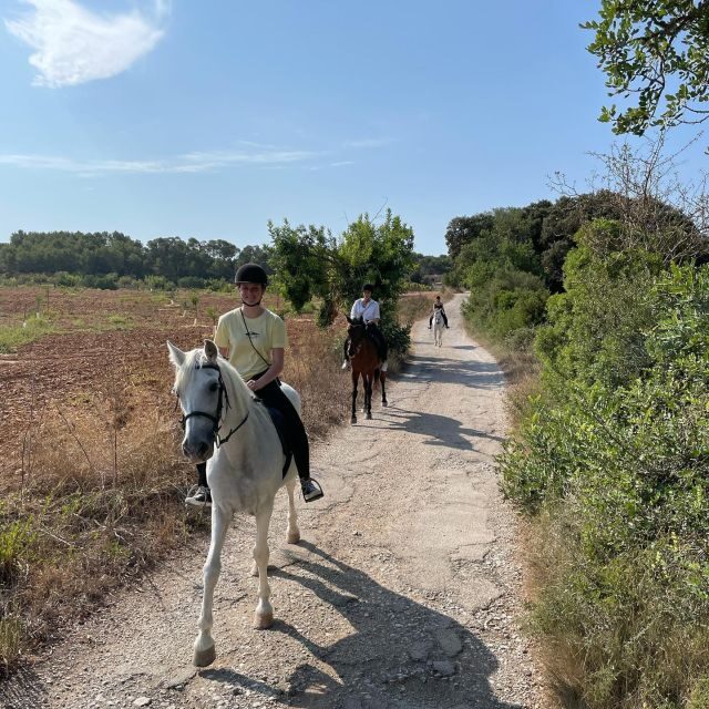 Mallorca: Guided Horseriding Tour of Randa Valley - Small group guides you can actually connect with