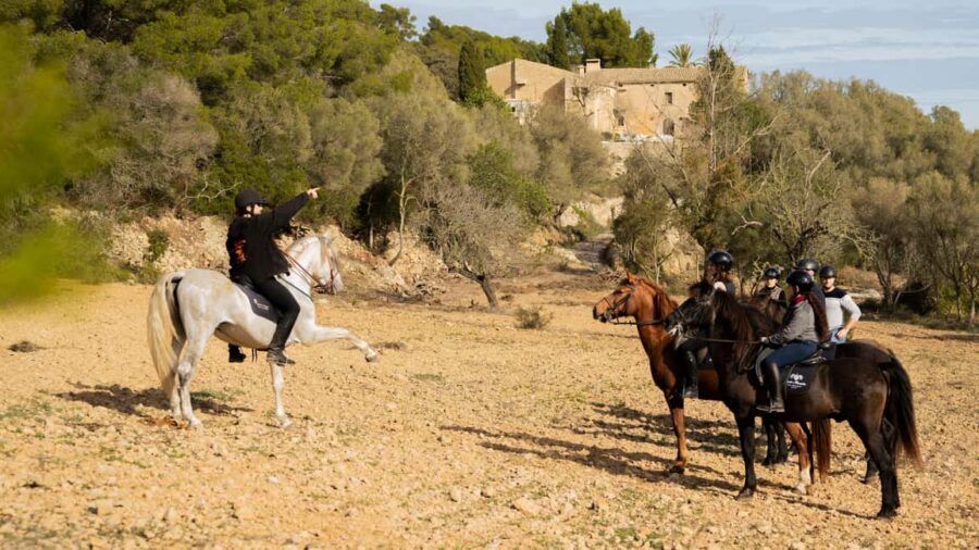 Mallorca: Guided Horseriding Tour of Randa Valley - Randa Valley on Andalusians: what the experience feels like