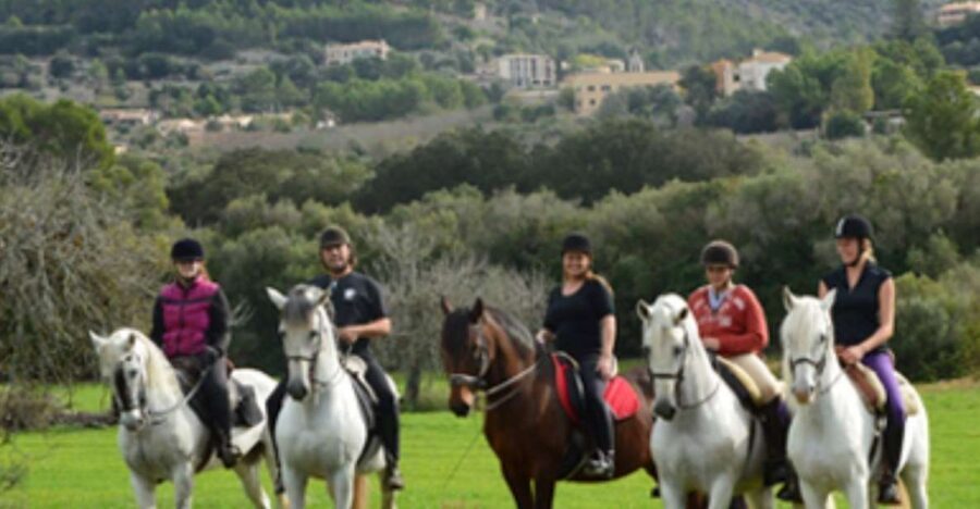 Mallorca: Guided Horseriding Tour of Randa Valley - Grooming, feeding, and a sand-track practice: the confidence step