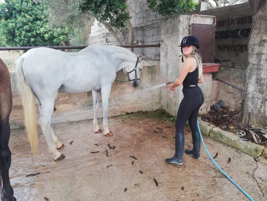 Mallorca: Guided Horseriding Tour of Randa Valley - The 3-hour Randa Valley ride: valleys, forests, meadows, and mountain views