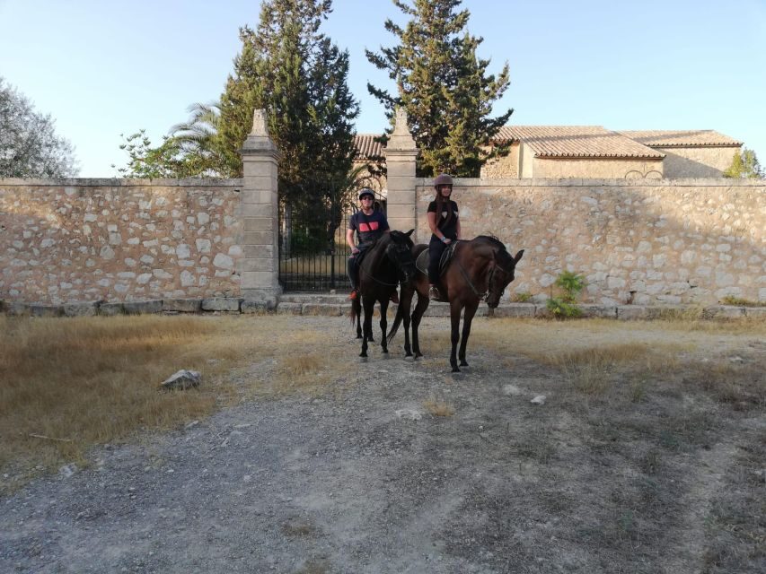 Mallorca: Guided Horseriding Tour of Randa Valley - After the ride: horse grooming, showering, refreshments, and photos