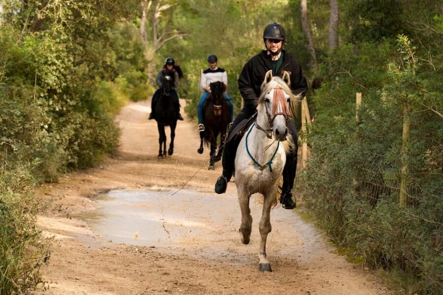 Mallorca: Guided Horseriding Tour of Randa Valley - Price and value: is $112 a fair deal for Mallorca horse time?