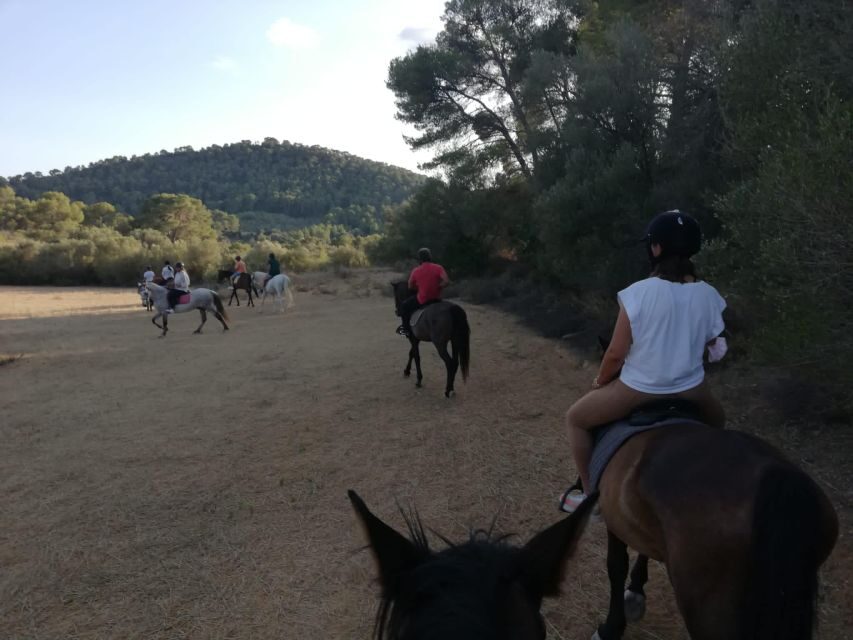 Mallorca: Guided Horseriding Tour of Randa Valley - What to wear and bring (so you’re not uncomfortable halfway through)