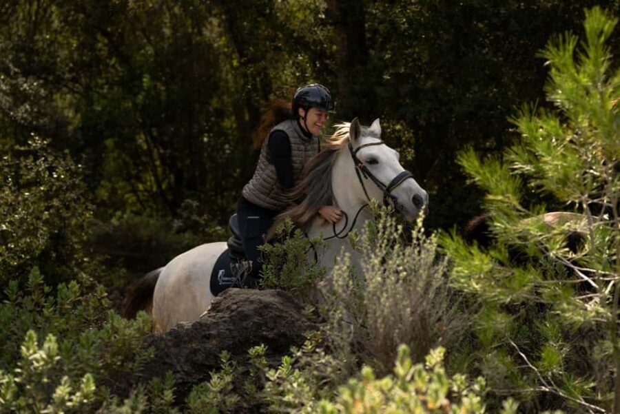Mallorca: Guided Horseriding Tour of Randa Valley - Who should book this Mallorca horse tour—and who should skip it