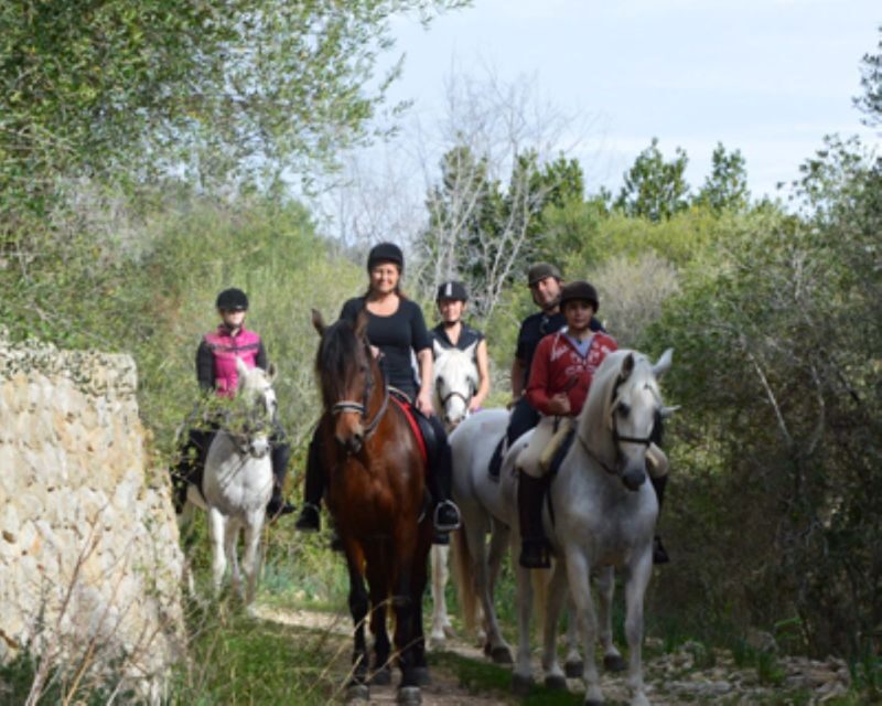 Mallorca: Guided Horseriding Tour of Randa Valley - Meeting at Mallorca Horses: check-in, helmets, and horse pairing