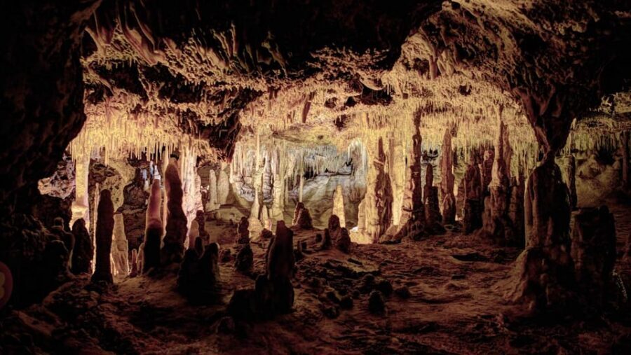 Mallorca: Half-Day Hams' Caves Tour with Pearl Shop Visit - Should You Book the Hams’ Caves Half-Day Tour?