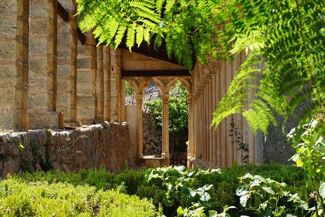 Mallorca Hidden Marvels: Guided Routes for Small Groups - The detour through Lloret de Vista Alegre plains
