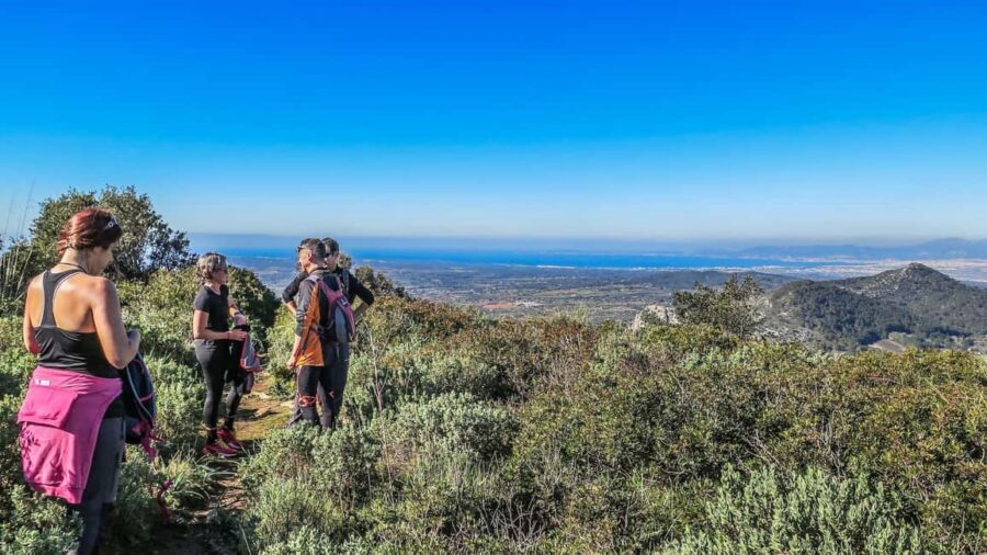 Mallorca hiking tour "Castell d'Alaró" - Key Highlights You’ll Feel on This Walk