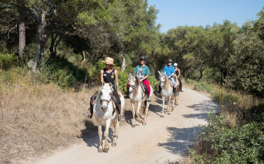 Mallorca: Horseback Riding Excursion and Wine Tasting - From Alcudia Forests to Ranch Ses Roques