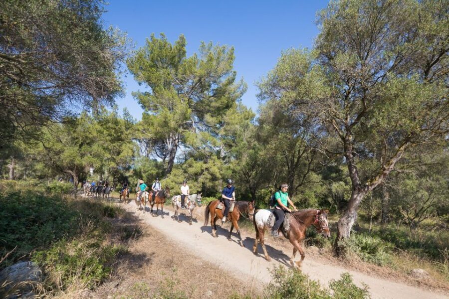 Mallorca: Horseback Riding Excursion and Wine Tasting - Who Should Book, and Who Should Skip It
