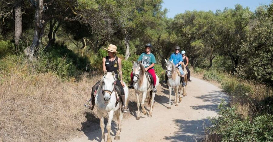 Mallorca: Horseback Riding Excursion and Wine Tasting - How the One-Hour Horse Ride Really Feels