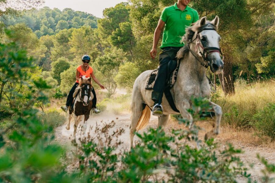 Mallorca: Horseback Riding Experience with Food Options - Key Highlights You’ll Actually Care About