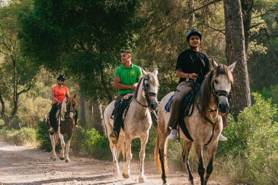 Mallorca: Horseback Riding Experience with Food Options - Alcudia Bay Views from a Saddle: What the Ride Feels Like