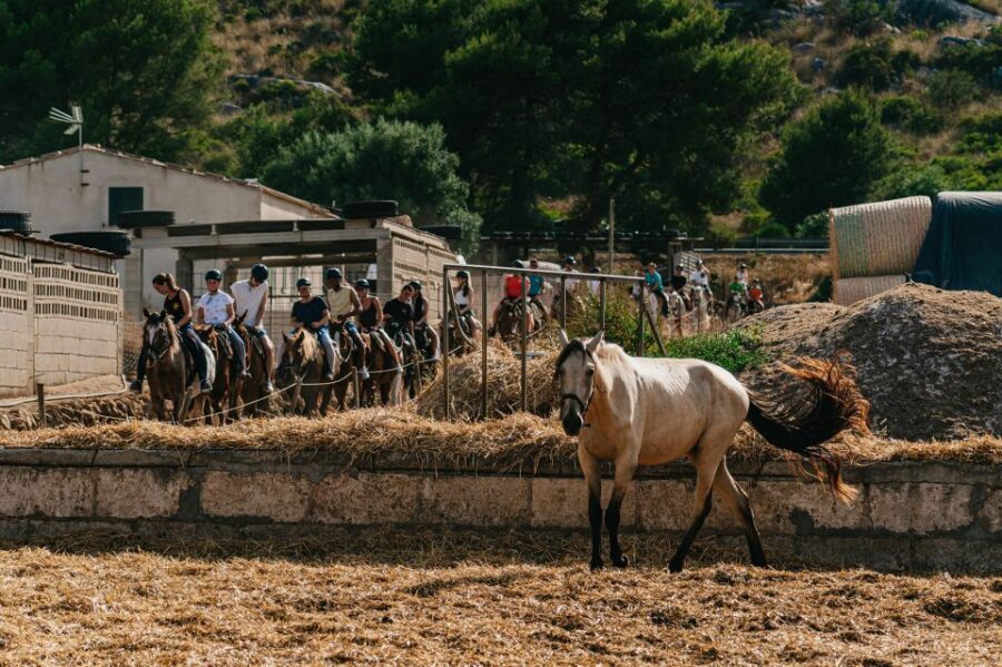 Mallorca: Horseback Riding Experience with Food Options - Food After the Ride: Brunch Tasting vs Handmade Burger Lunch