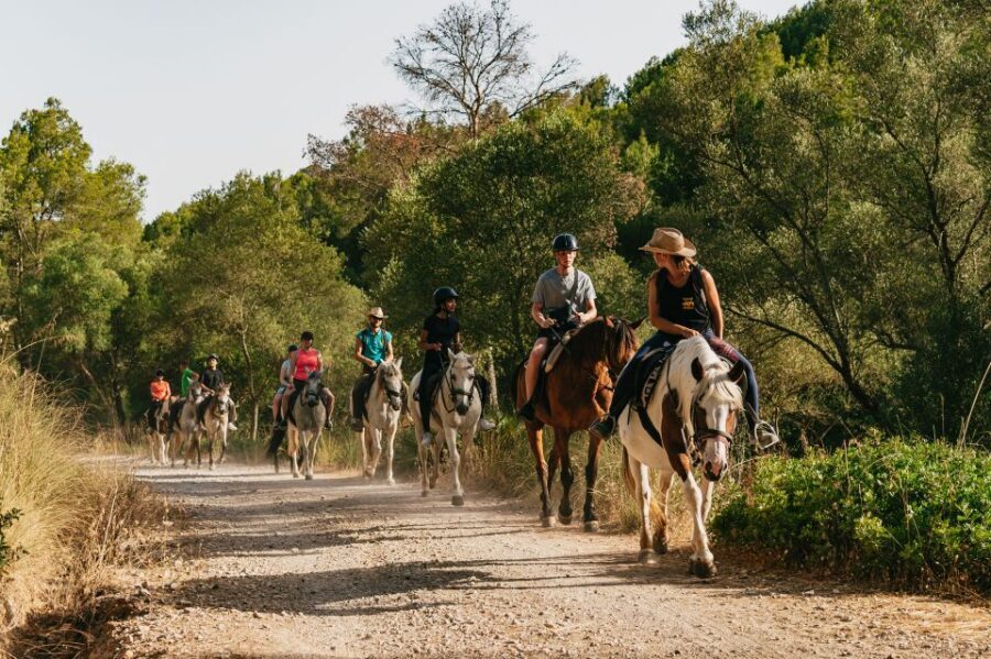 Mallorca: Horseback Riding Experience with Food Options - Price and Value: What About $42 Really Buys You