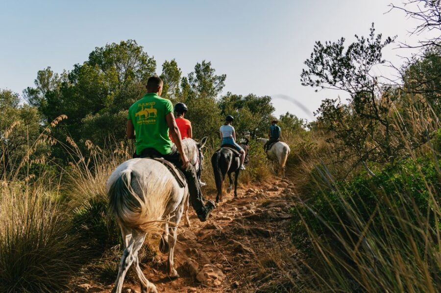 Mallorca: Horseback Riding Experience with Food Options - Timing, Pickup, and Getting There from Alcudia or Playa de Muro