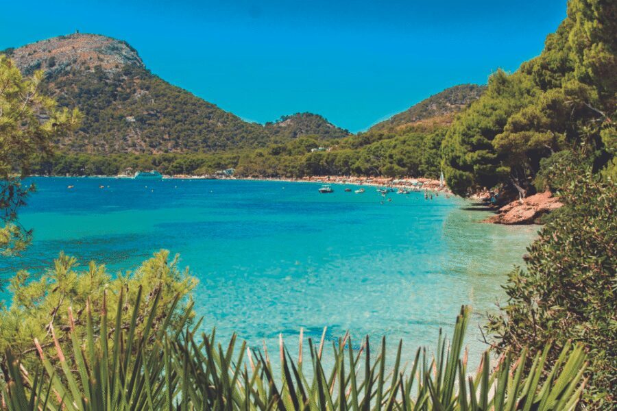 Mallorca: Instafamous Tour of Palma and North coast - Formentor Beach Time: Swim or Stroll, But Plan Your Pace