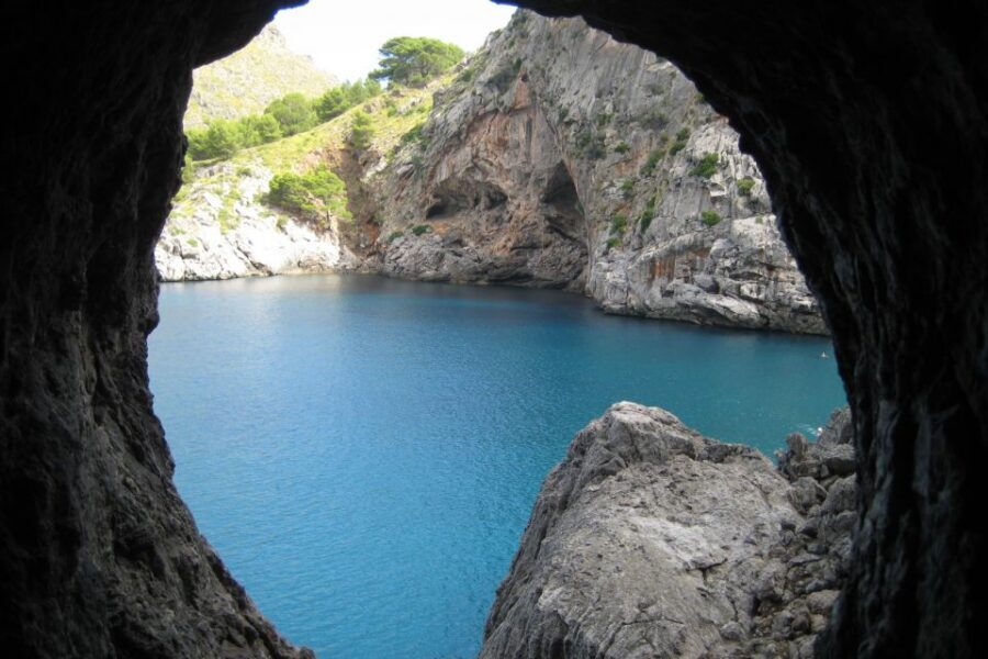 Mallorca: Island Tour with Boat, Train, and Hotel Transfer - From Palma to Sóller by vintage train: the scenic warm-up