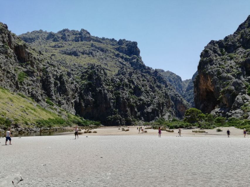 Mallorca: Island Tour with Boat, Train, and Hotel Transfer - Wooden tram to Port de Sóller: charming, slow, and ideal for photos