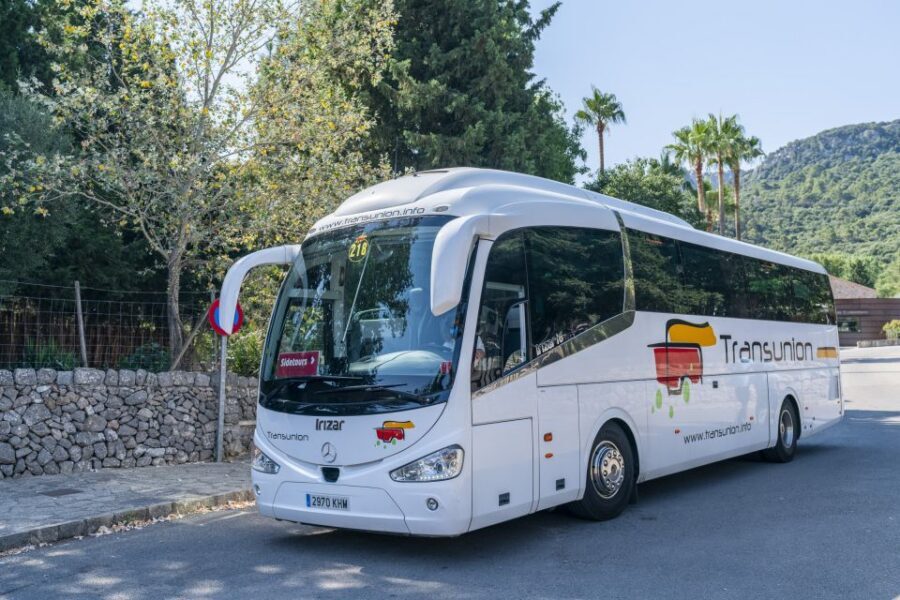 Mallorca: Island Tour with Boat, Tram & Train from the South - The Tramuntana mountain drive: where the bus earns its keep